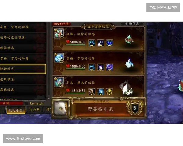 魔兽世界小宠物升级品质攻略